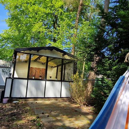 "Dennenhuisje" Op Bospark Ijsselheide Hattemerbroek Exterior foto