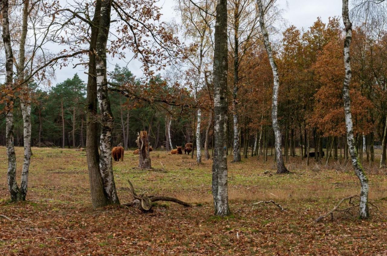 "Dennenhuisje" Op Bospark Ijsselheide Hattemerbroek Exterior foto