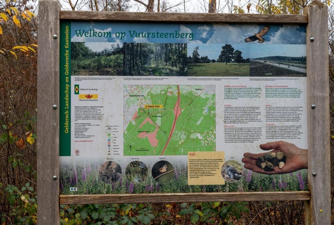 "Dennenhuisje" Op Bospark Ijsselheide Hattemerbroek Exterior foto