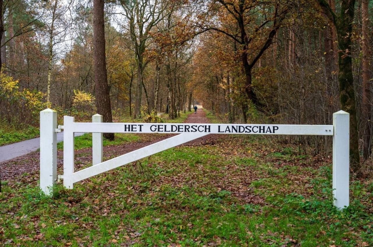 "Dennenhuisje" Op Bospark Ijsselheide Hattemerbroek Exterior foto